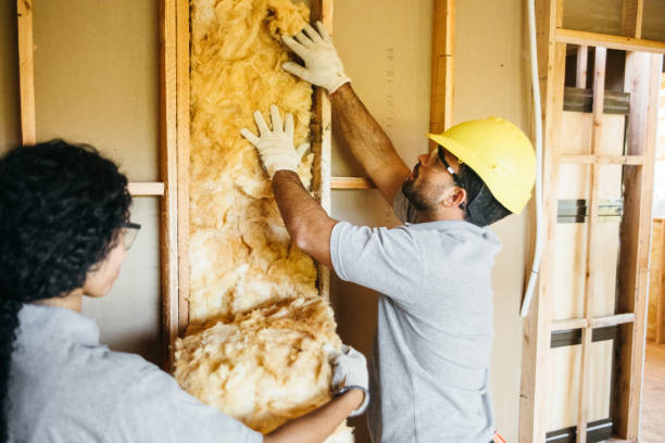 Best Affordable Insulation Services  in Jerome, IL